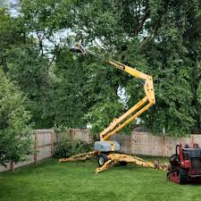 Leaf Removal in La Vergne, TN