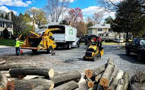 Best Storm Damage Tree Cleanup  in La Vergne, TN
