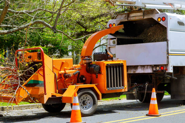 Best Commercial Tree Services  in La Vergne, TN